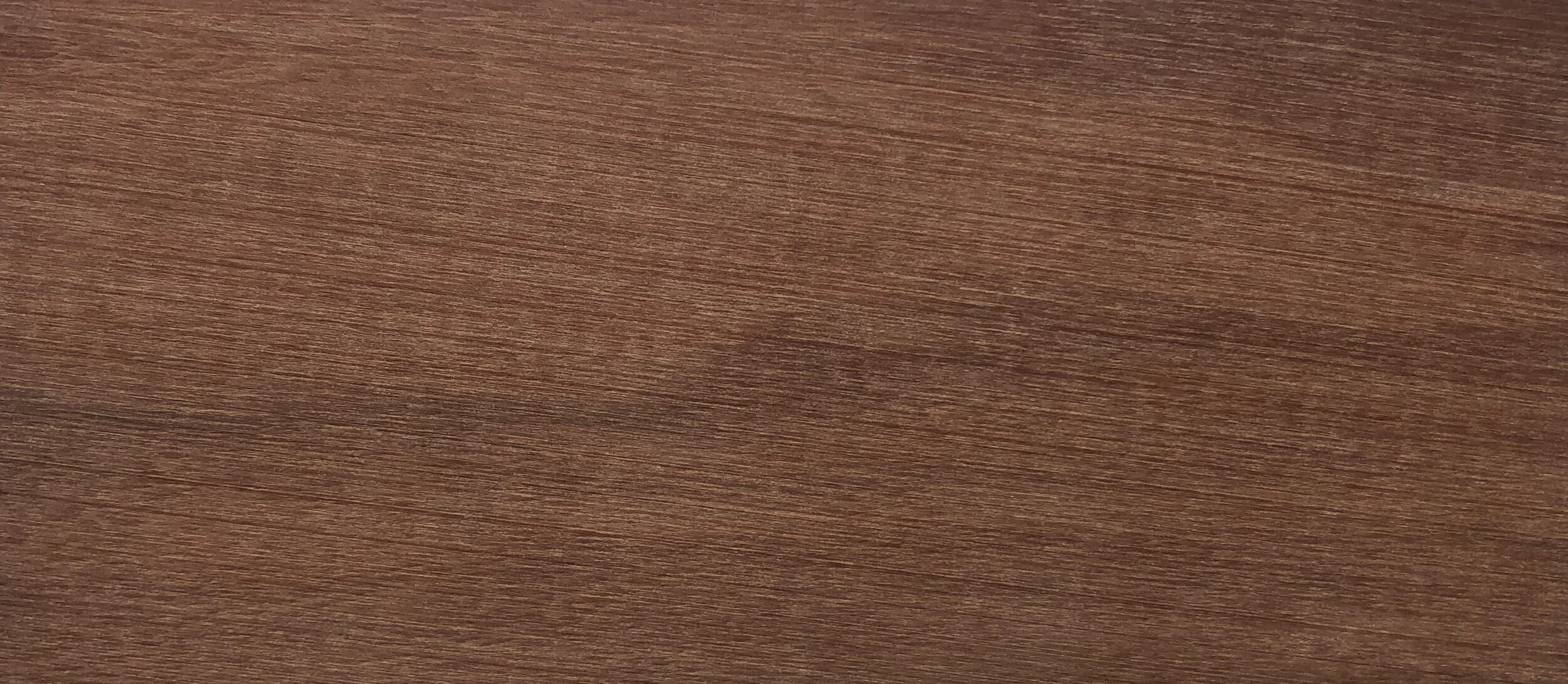 Mongha Sample Monghinza