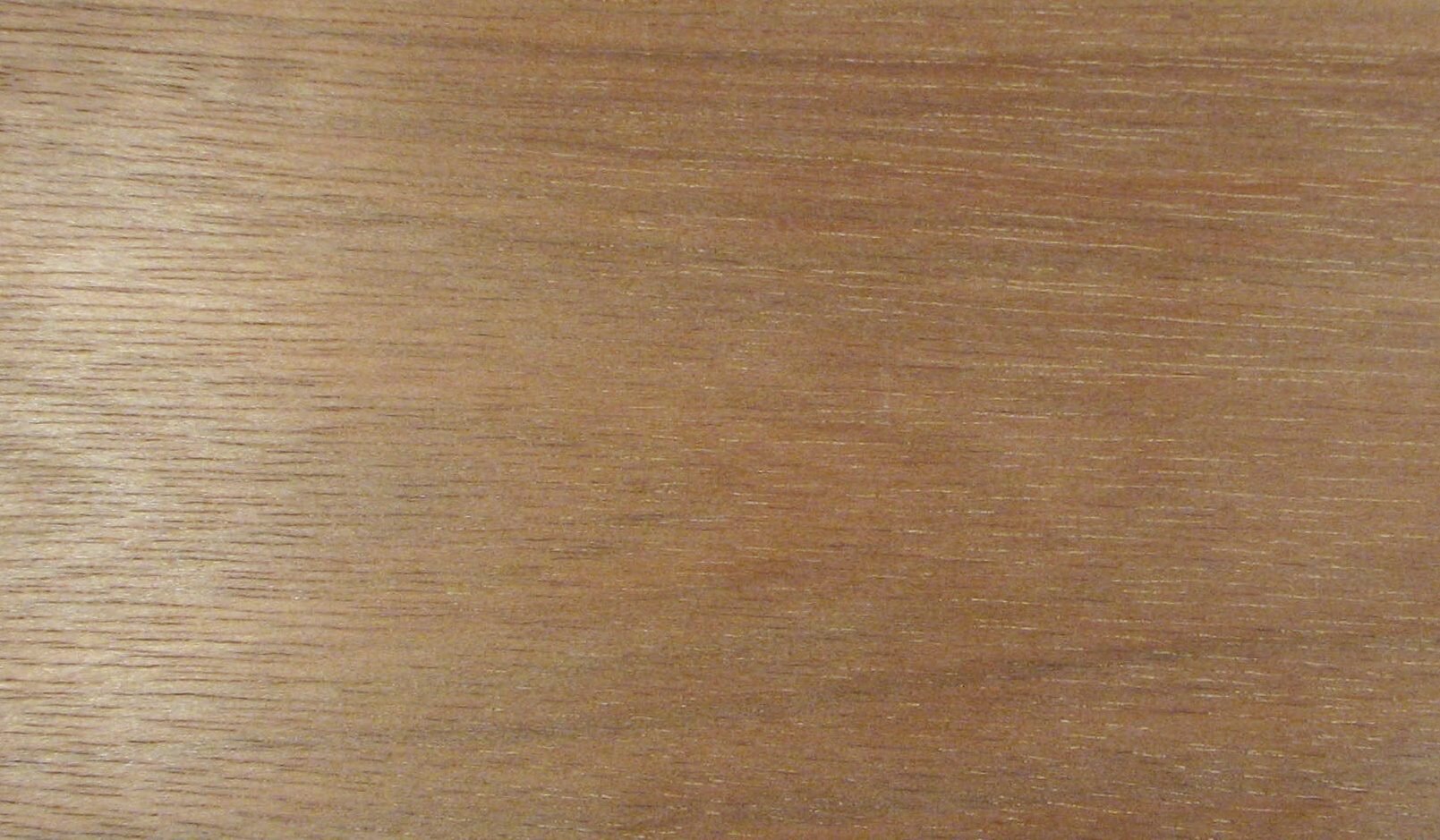 Nyatoh grain